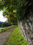 24111 Path by river Suir.jpg